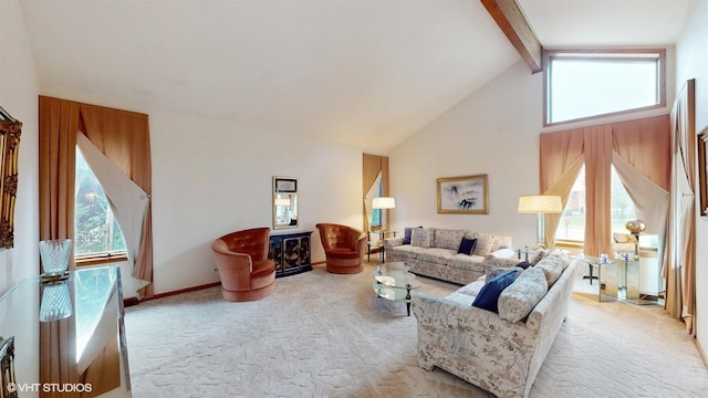 4286 White Birch Dr, Lisle, IL 60532 - photo 9
