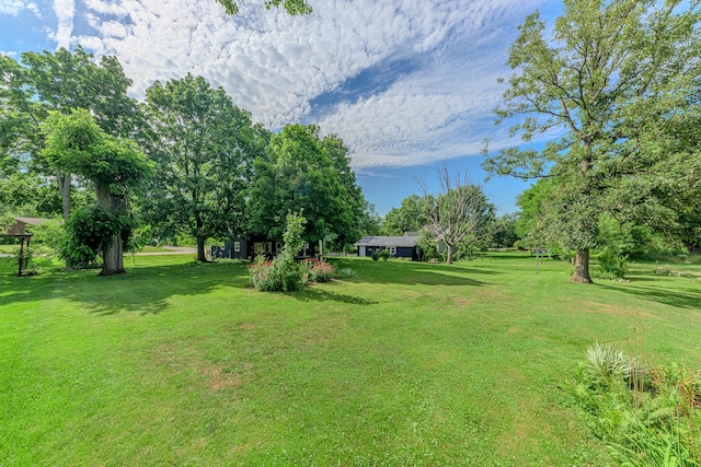 18553 Hickory St, Mokena, IL 60448 - photo 19