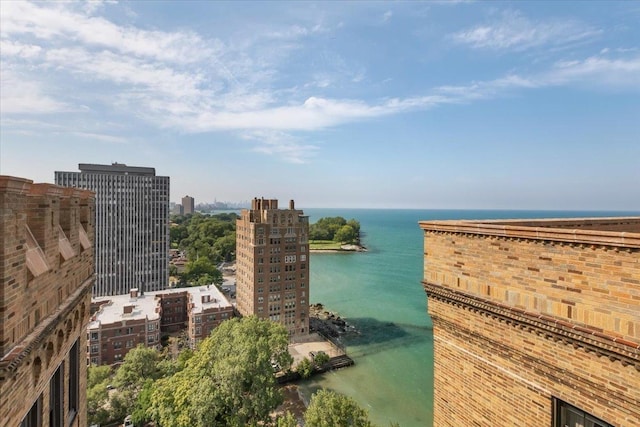 7321 S S Shore Dr Unit 12A, Chicago, IL 60649 - photo 31