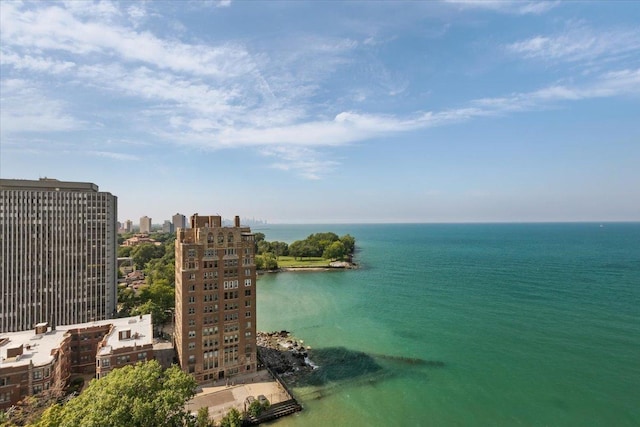 7321 S S Shore Dr Unit 12A, Chicago, IL 60649 - photo 32