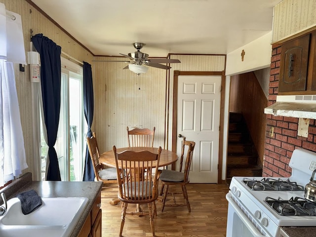 232 Galewood Dr, Bolingbrook, IL 60440 - photo 7
