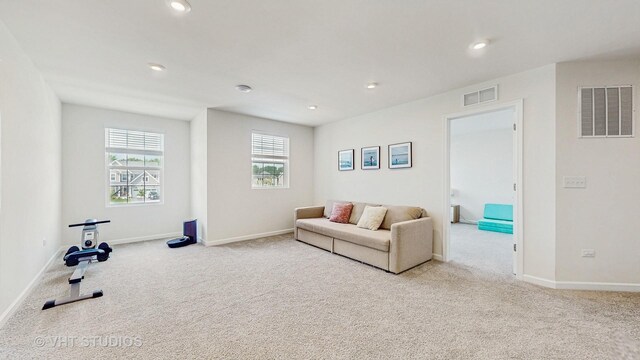 1248 Snapper Rd, Naperville, IL 60563 - photo 18
