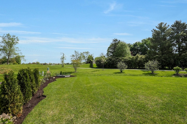 2519 Accolade Ave, Naperville, IL 60564 - photo 35
