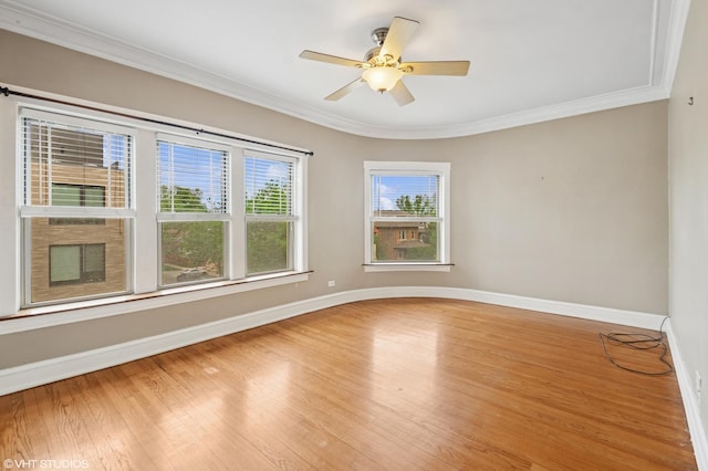 800 S Oak Park Ave Unit 3N, Oak Park, IL 60304 - photo 3