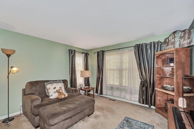13903 Trillium Ln, Plainfield, IL 60544 - photo 26