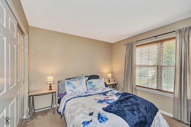 13903 Trillium Ln, Plainfield, IL 60544 - photo 28