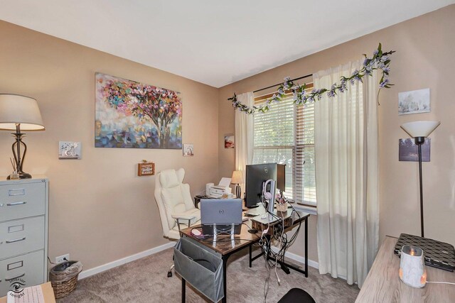 13903 Trillium Ln, Plainfield, IL 60544 - photo 30