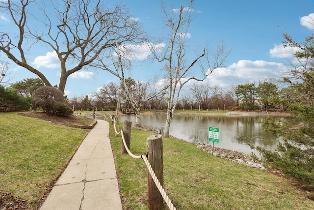 68 Pier Dr Unit 102, Westmont, IL 60559 - photo 31