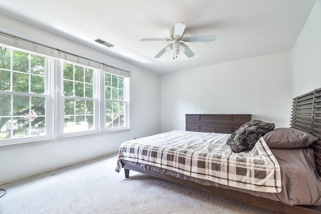 500 Aberdeen Ln Unit C, Prospect Heights, IL 60070 - photo 14