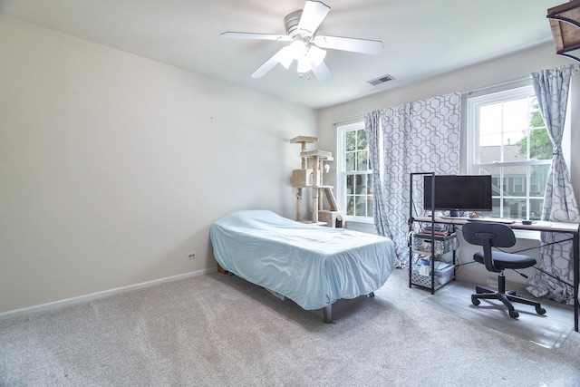 500 Aberdeen Ln Unit C, Prospect Heights, IL 60070 - photo 16