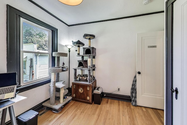 1102 Wadsworth Ave, North Chicago, IL 60064 - photo 20