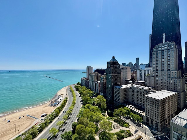 1040 N Lake Shore Dr Unit 31A, Chicago, IL 60611 - photo 12