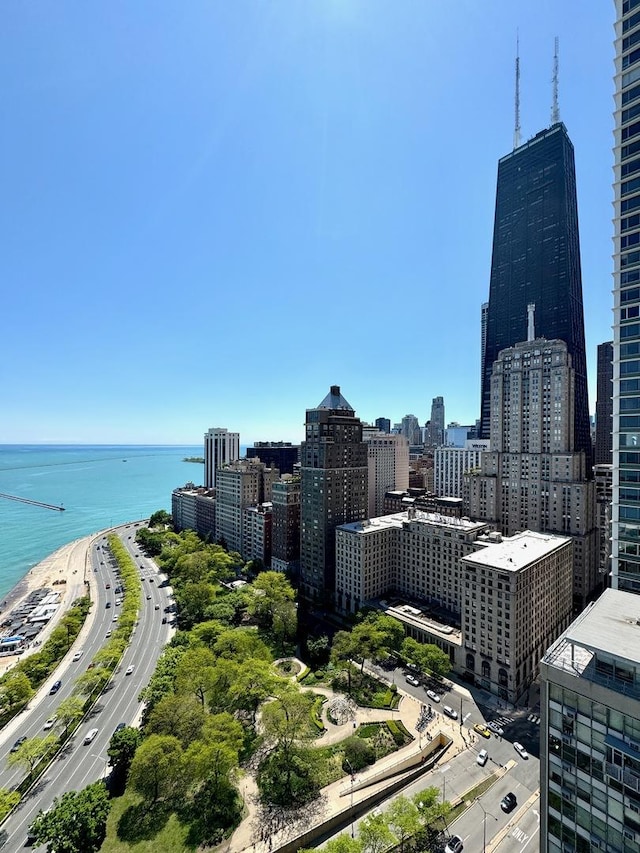 1040 N Lake Shore Dr Unit 31A, Chicago, IL 60611 - photo 13