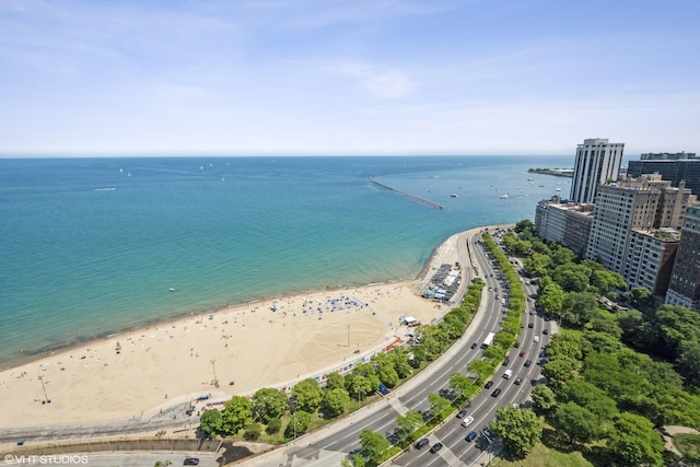 1040 N Lake Shore Dr Unit 31A, Chicago, IL 60611 - photo 16