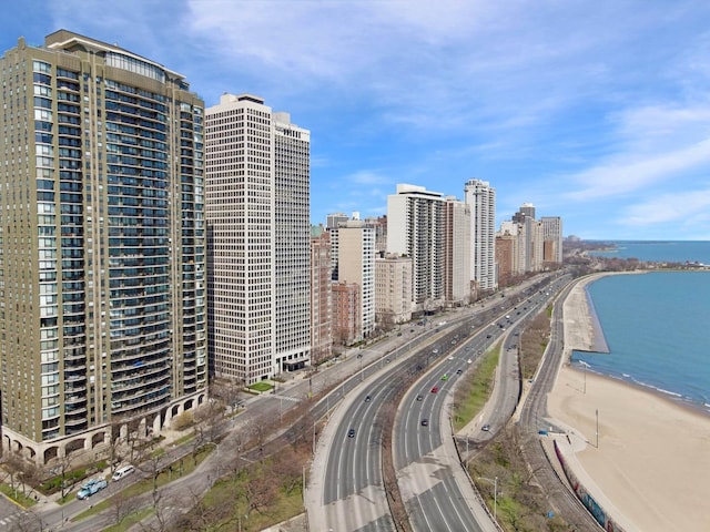 1040 N Lake Shore Dr Unit 31A, Chicago, IL 60611 - photo 43