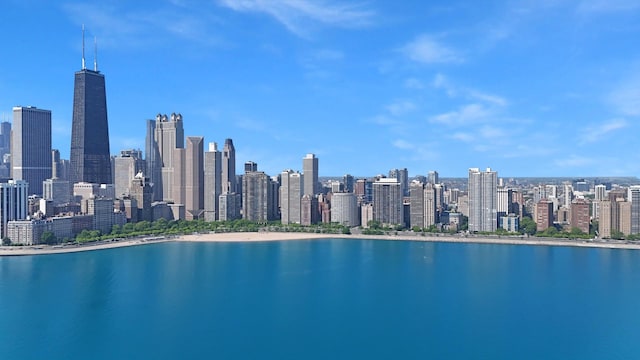 1040 N Lake Shore Dr Unit 31A, Chicago, IL 60611 - photo 45
