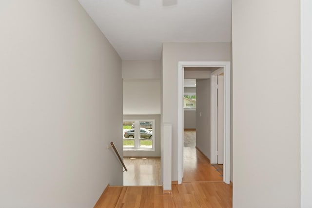 9354 Twin Oaks Ln, Des Plaines, IL 60016 - photo 23