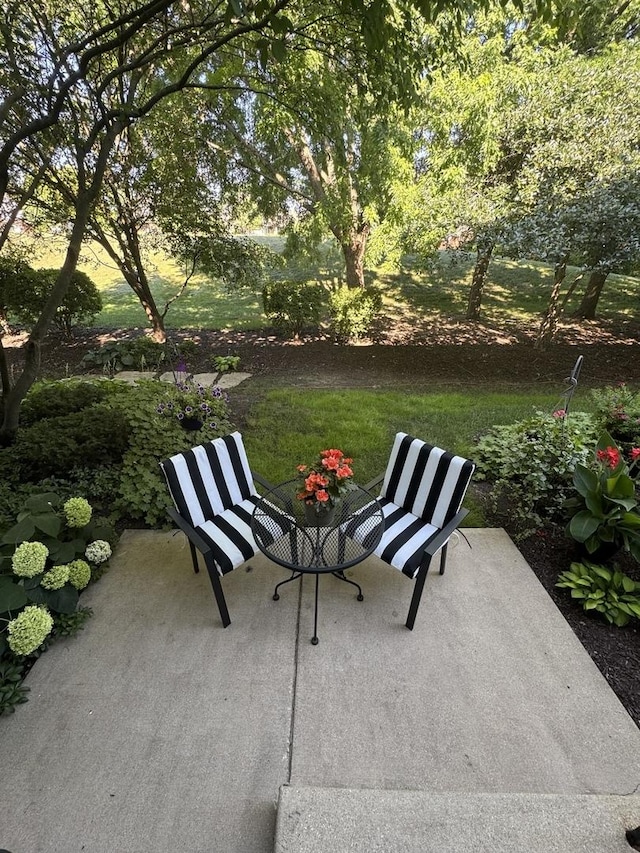 2827 White Thorn Cir, Naperville, IL 60564 - photo 16