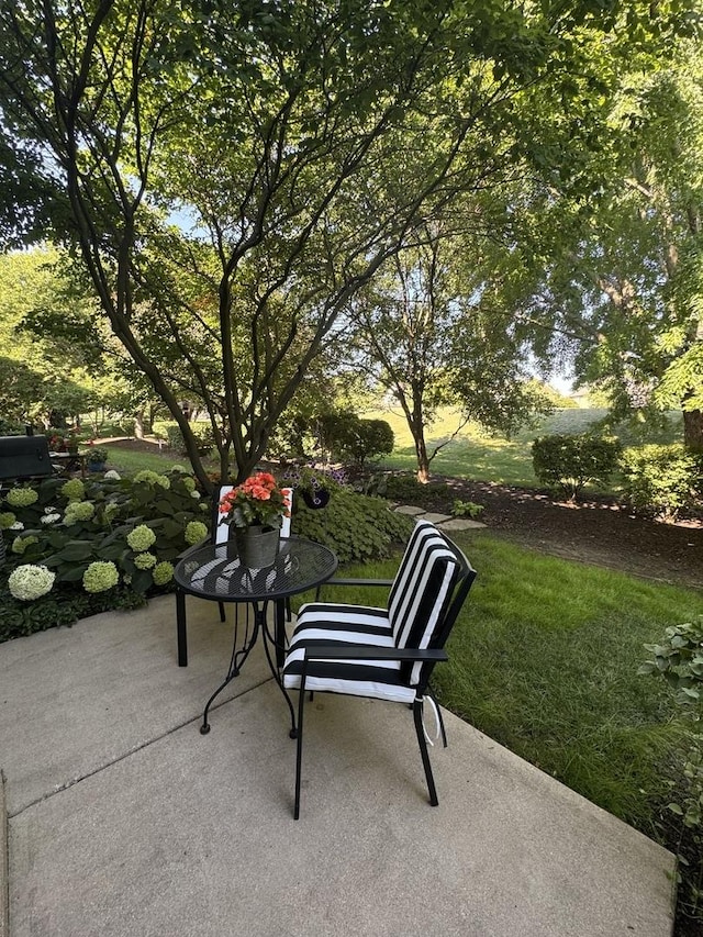 2827 White Thorn Cir, Naperville, IL 60564 - photo 17