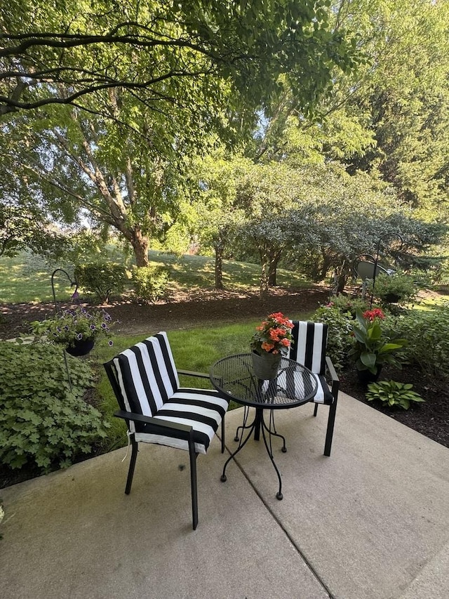 2827 White Thorn Cir, Naperville, IL 60564 - photo 19