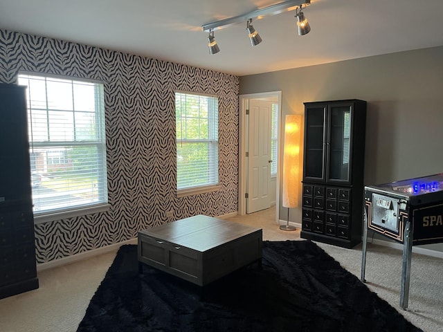 12922 Grande Poplar Cir, Plainfield, IL 60585 - photo 34