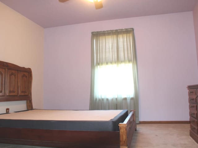 477 Water Tower Rd N, Manteno, IL 60950 - photo 7