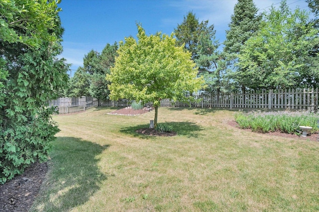 901 Barton Ln, Peotone, IL 60468 - photo 25