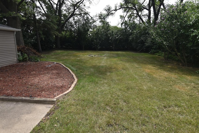 317 Mohawk St, Park Forest, IL 60466 - photo 15