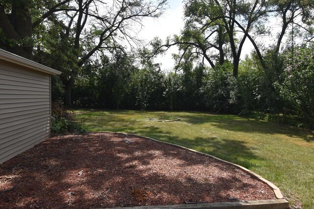 317 Mohawk St, Park Forest, IL 60466 - photo 16