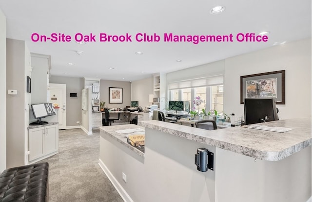 5 Oak Brook Club Dr Unit N303, Oak Brook, IL 60523 - photo 37