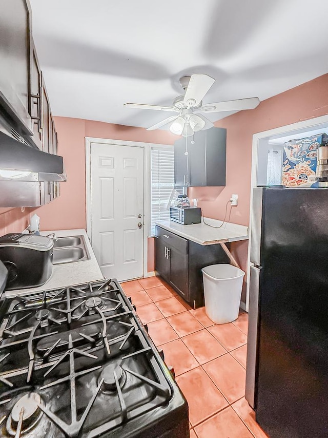 8539 S Saint Lawrence Ave, Chicago, IL 60619 - photo 6