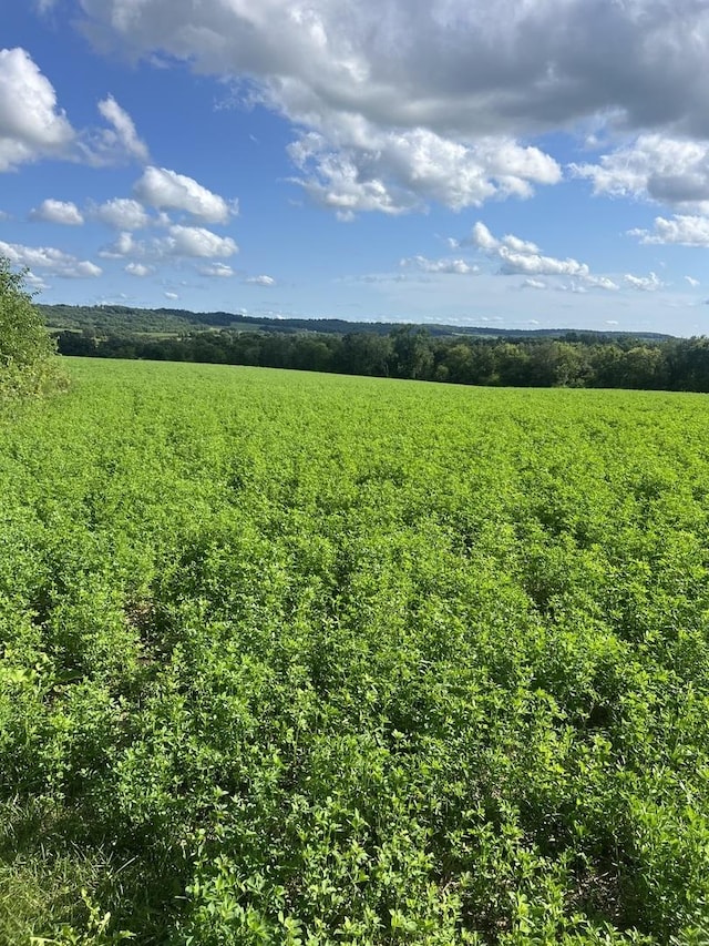 000 S Rush Creek Rd, Stockton, IL 61085 - photo 1