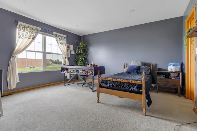 302 Parkside Dr, Shorewood, IL 60404 - photo 17