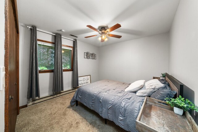1102 Vale St S, Sandwich, IL 60548 - photo 18