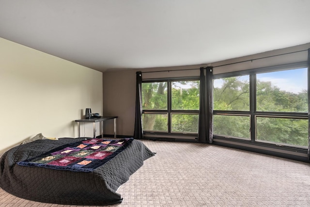 240 Oxford Rd, North Barrington, IL 60010 - photo 37