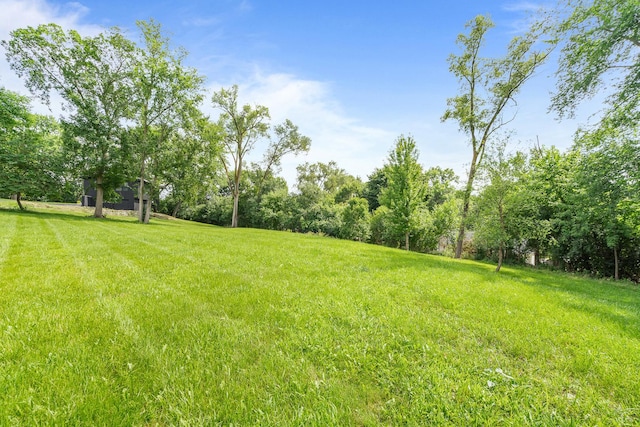 240 Oxford Rd, North Barrington, IL 60010 - photo 56
