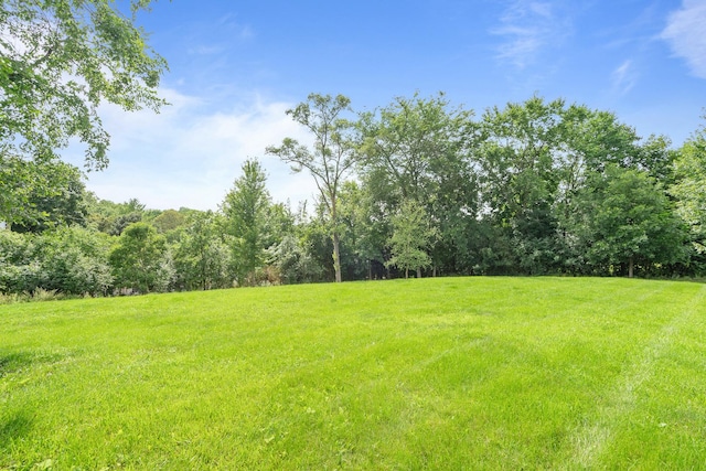 240 Oxford Rd, North Barrington, IL 60010 - photo 57