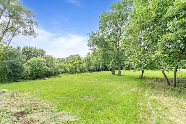 240 Oxford Rd, North Barrington, IL 60010 - photo 60