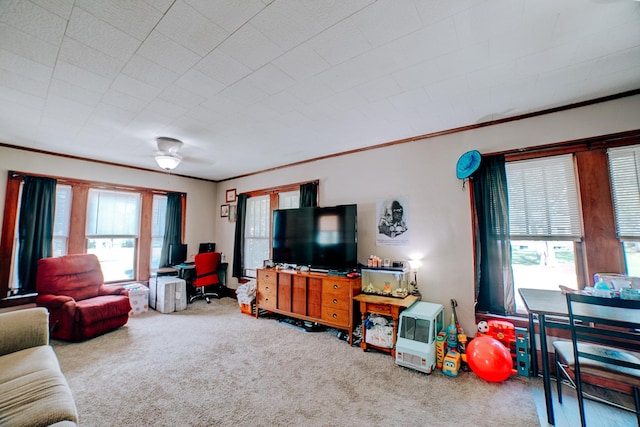 441 E Walnut St, Watseka, IL 60970 - photo 5