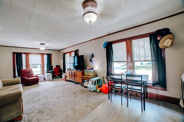 441 E Walnut St, Watseka, IL 60970 - photo 6