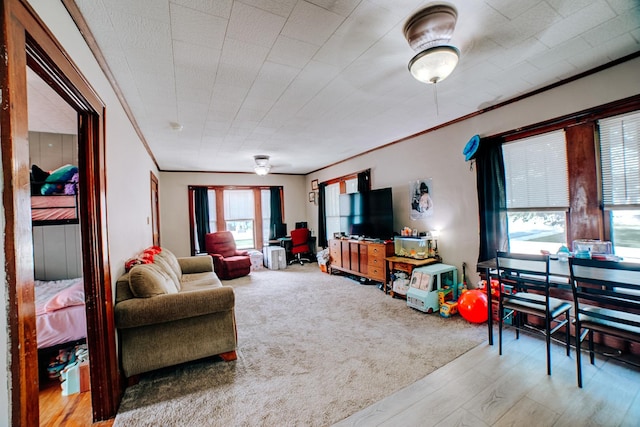 441 E Walnut St, Watseka, IL 60970 - photo 7