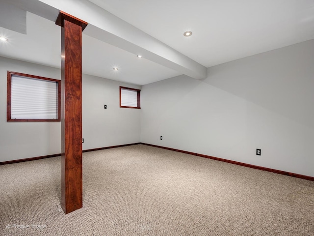 1724 Tamahawk Ln, Naperville, IL 60564 - photo 19