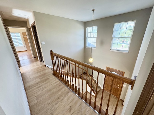 13749 S Kendall Dr, Plainfield, IL 60544 - photo 8