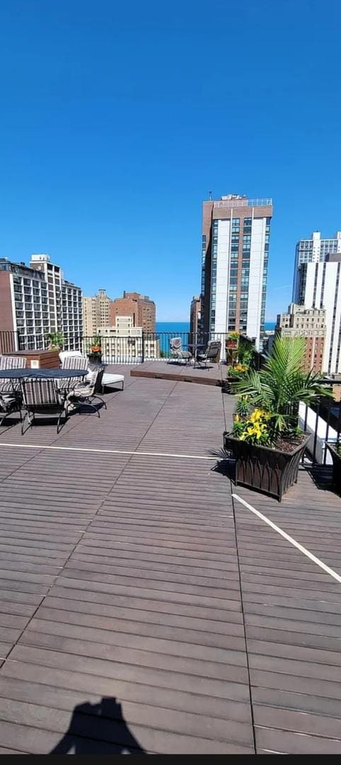 1339 N Dearborn St Unit 3B, Chicago, IL 60610 - photo 8