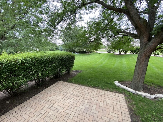 11900 Winterberry Ln, Plainfield, IL 60585 - photo 38
