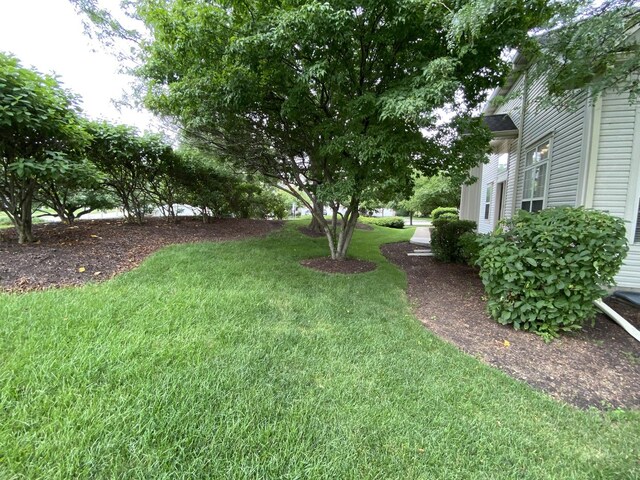 11900 Winterberry Ln, Plainfield, IL 60585 - photo 39