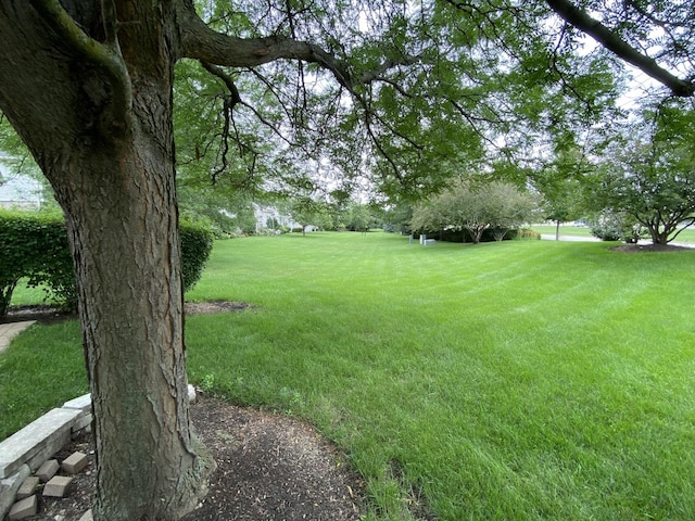 11900 Winterberry Ln, Plainfield, IL 60585 - photo 40