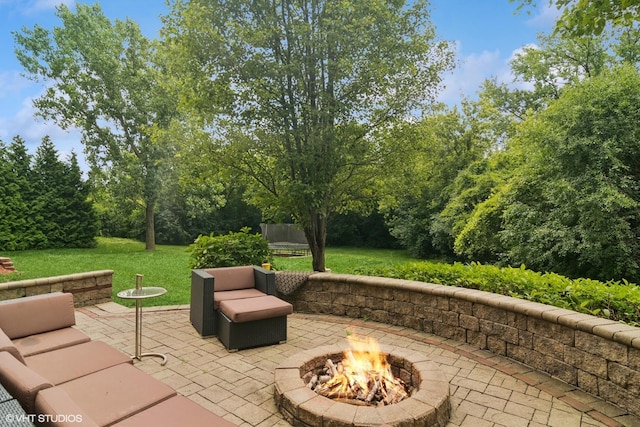 32 Squire Rd, Hawthorn Woods, IL 60047 - photo 39