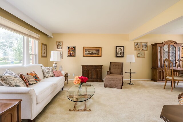 856 S Stratford Ave, Elmhurst, IL 60126 - photo 4