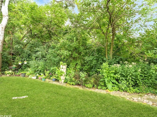 15247 Creekside Dr Unit 29C, Oak Forest, IL 60452 - photo 10